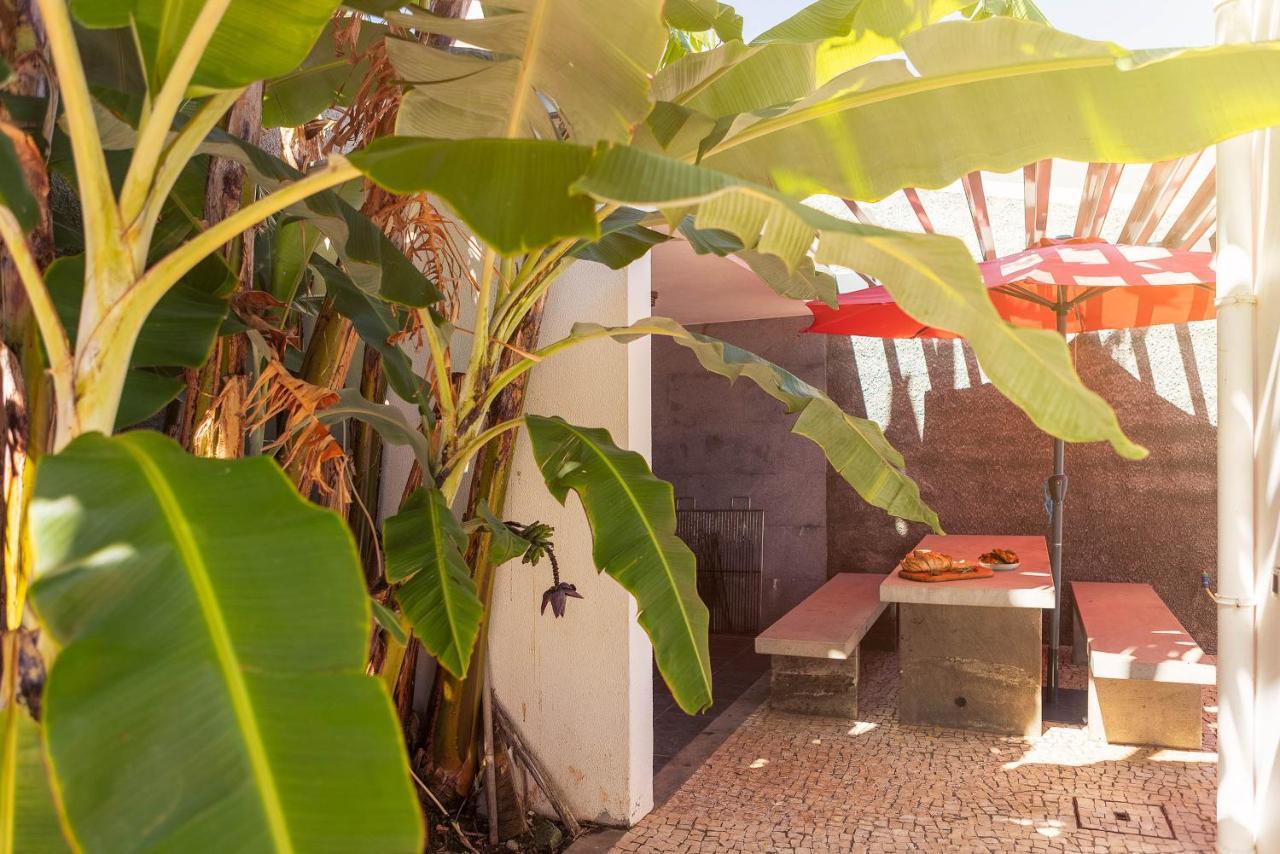 Villa Amplitude Camara de Lobos Ngoại thất bức ảnh